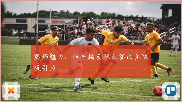 赛场魅力,和平精英职业赛的无限吸引力